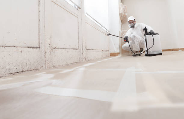 24/7 Emergency Mold Cleanup experts in Franklin, MI