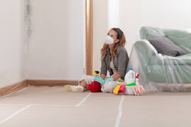 Reliable Mold Cleanup contractor in Franklin, MI by Cheap Mold Removal